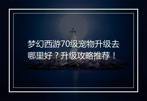 梦幻西游70级宠物升级去哪里好？升级攻略推荐！
