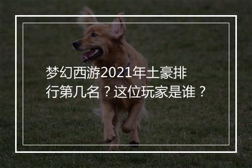 梦幻西游2021年土豪排行第几名？这位玩家是谁？