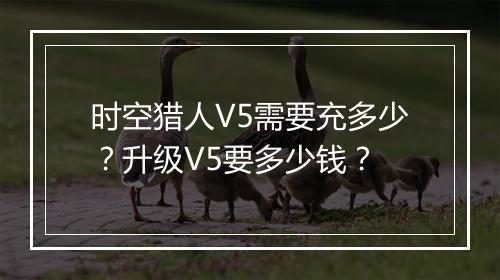 时空猎人V5需要充多少？升级V5要多少钱？