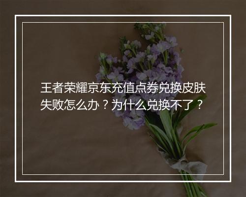 王者荣耀京东充值点券兑换皮肤失败怎么办？为什么兑换不了？
