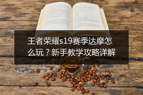 王者荣耀s19赛季达摩怎么玩？新手教学攻略详解