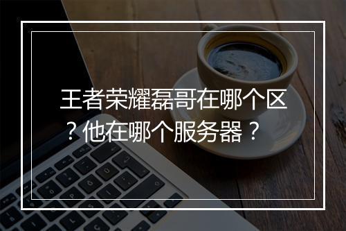 王者荣耀磊哥在哪个区？他在哪个服务器？