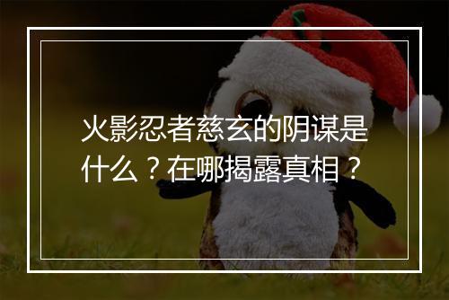 火影忍者慈玄的阴谋是什么？在哪揭露真相？