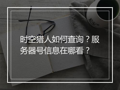 时空猎人如何查询？服务器号信息在哪看？