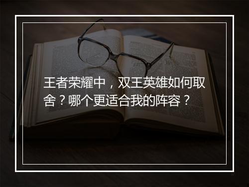 王者荣耀中，双王英雄如何取舍？哪个更适合我的阵容？