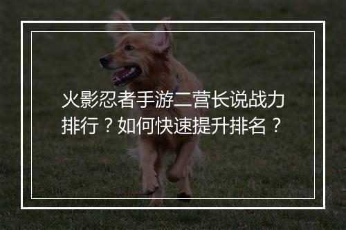 火影忍者手游二营长说战力排行？如何快速提升排名？