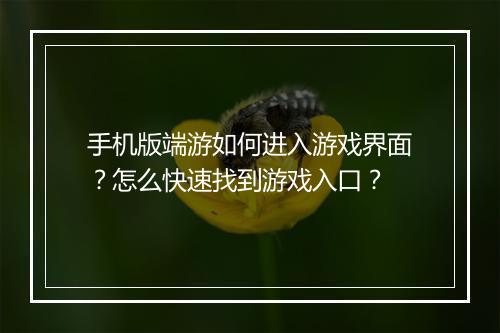 手机版端游如何进入游戏界面？怎么快速找到游戏入口？