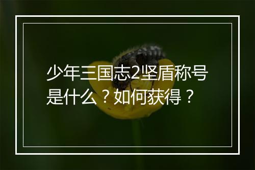 少年三国志2坚盾称号是什么？如何获得？
