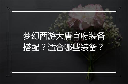 梦幻西游大唐官府装备搭配？适合哪些装备？