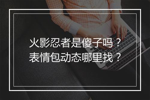 火影忍者是傻子吗？表情包动态哪里找？