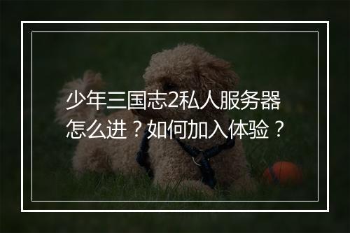 少年三国志2私人服务器怎么进？如何加入体验？