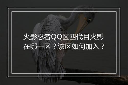 火影忍者QQ区四代目火影在哪一区？该区如何加入？
