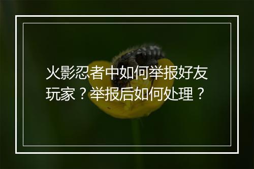 火影忍者中如何举报好友玩家?举报后如何处理?