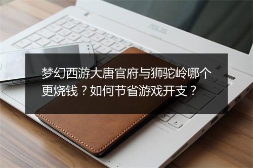 梦幻西游大唐官府与狮驼岭哪个更烧钱？如何节省游戏开支？