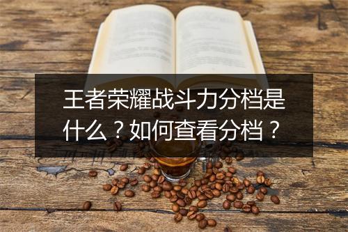 王者荣耀战斗力分档是什么？如何查看分档？