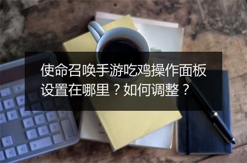 使命召唤手游吃鸡操作面板设置在哪里？如何调整？