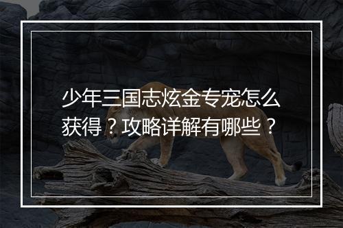 少年三国志炫金专宠怎么获得？攻略详解有哪些？