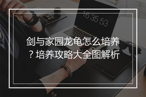 剑与家园龙龟怎么培养？培养攻略大全图解析