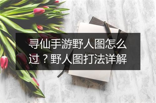 寻仙手游野人图怎么过？野人图打法详解