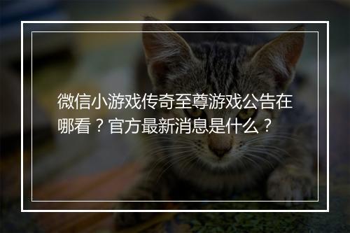 微信小游戏传奇至尊游戏公告在哪看？官方最新消息是什么？
