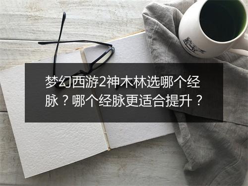 梦幻西游2神木林选哪个经脉？哪个经脉更适合提升？