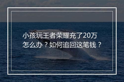 小孩玩王者荣耀充了20万怎么办？如何追回这笔钱？
