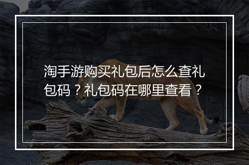 淘手游购买礼包后怎么查礼包码？礼包码在哪里查看？