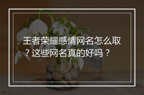王者荣耀感情网名怎么取？这些网名真的好吗？