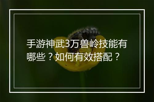 手游神武3万兽岭技能有哪些？如何有效搭配？