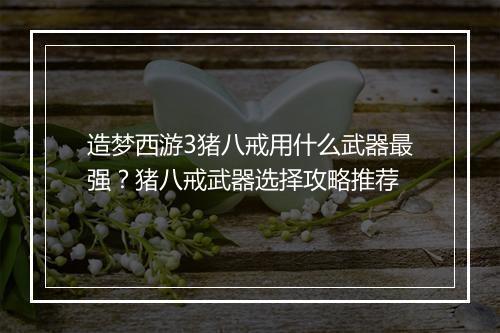 造梦西游3猪八戒用什么武器最强?猪八戒武器选择攻略推荐