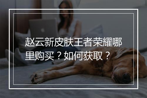 赵云新皮肤王者荣耀哪里购买?如何获取?