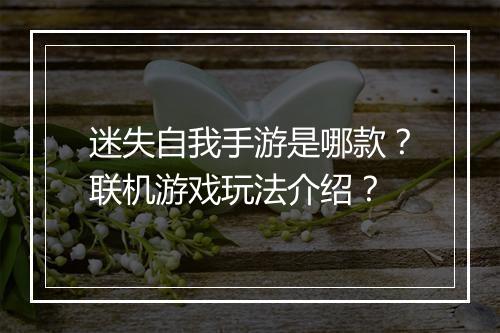 迷失自我手游是哪款?联机游戏玩法介绍?