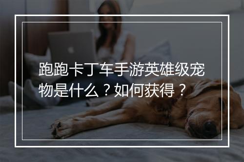 跑跑卡丁车手游英雄级宠物是什么?如何获得?