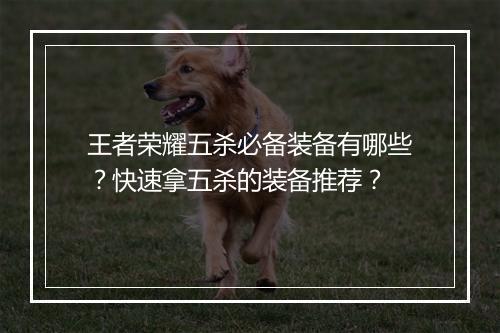 王者荣耀五杀必备装备有哪些?快速拿五杀的装备推荐?