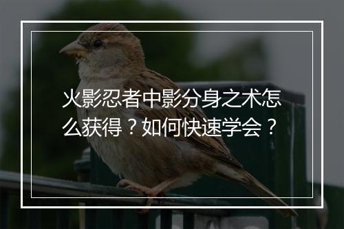 火影忍者中影分身之术怎么获得?如何快速学会?