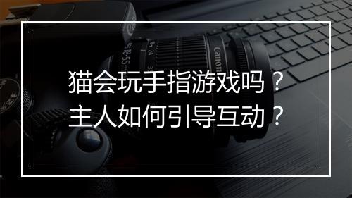 猫会玩手指游戏吗?主人如何引导互动?