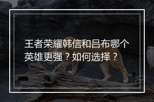 王者荣耀韩信和吕布哪个英雄更强?如何选择?