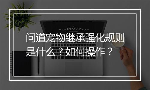 问道宠物继承强化规则是什么?如何操作?