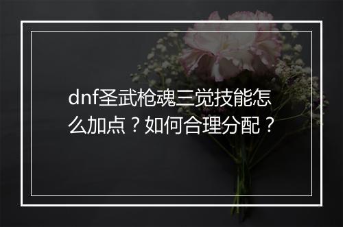 dnf圣武枪魂三觉技能怎么加点?如何合理分配?