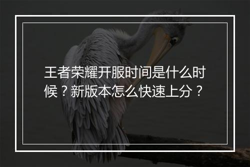 王者荣耀开服时间是什么时候？新版本怎么快速上分？