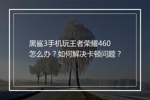 黑鲨3手机玩王者荣耀460怎么办?如何解决卡顿问题?