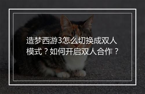 造梦西游3怎么切换成双人模式？如何开启双人合作？