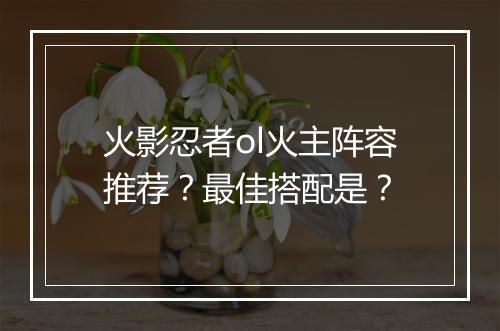 火影忍者ol火主阵容推荐?最佳搭配是?