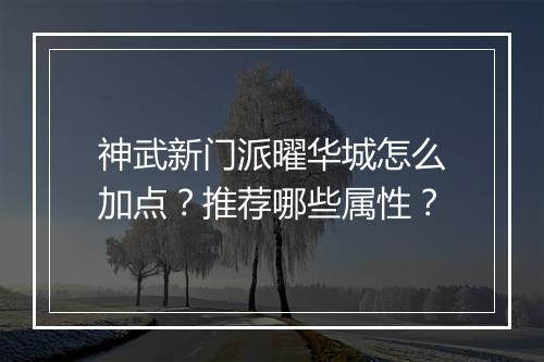 神武新门派曜华城怎么加点？推荐哪些属性？