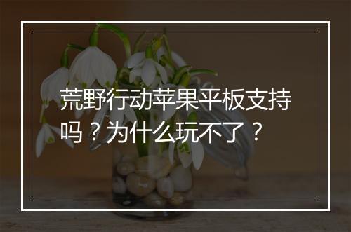 荒野行动苹果平板支持吗？为什么玩不了？