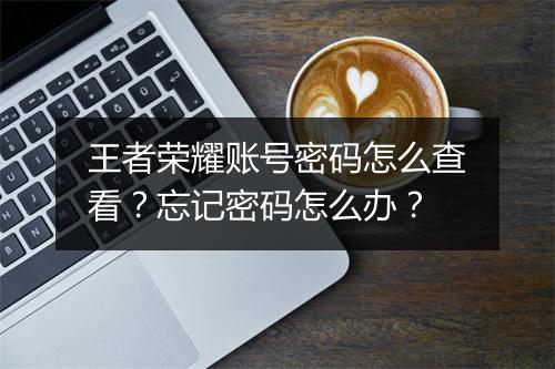 王者荣耀账号密码怎么查看?忘记密码怎么办?