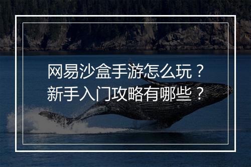 网易沙盒手游怎么玩？新手入门攻略有哪些？