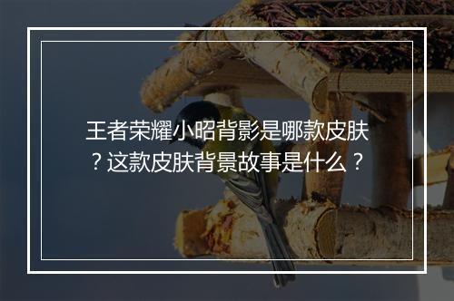王者荣耀小昭背影是哪款皮肤?这款皮肤背景故事是什么?