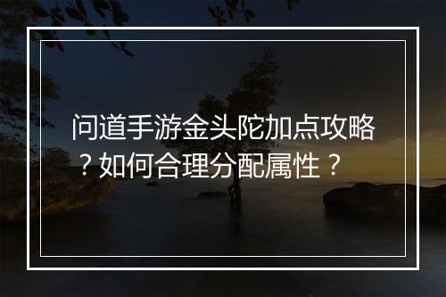 问道手游金头陀加点攻略?如何合理分配属性?
