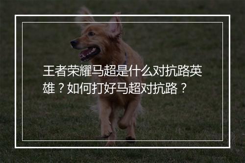 王者荣耀马超是什么对抗路英雄？如何打好马超对抗路？